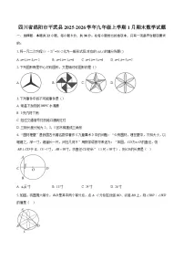 四川省绵阳市平武县2025-2026学年九年级上学期1月期末数学试题-自定义类型