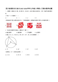 四川省绵阳市江油市2025-2026学年九年级上学期1月期末数学试题-自定义类型