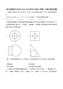 四川省绵阳市安州区2025-2026学年九年级上学期1月期末数学试题-自定义类型