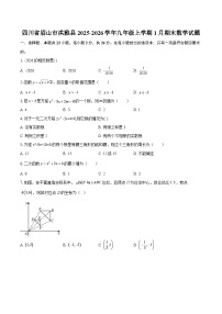 四川省眉山市洪雅县2025-2026学年九年级上学期1月期末数学试题-自定义类型