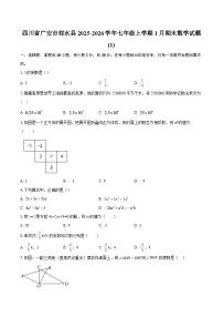 四川省广安市邻水县2025-2026学年七年级上学期1月期末数学试题 (1)-自定义类型