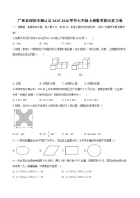 广东省深圳市南山区2025-2026学年七年级上册数学期末复习卷-自定义类型