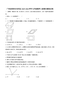 广东省深圳市光明区2025-2026学年七年级数学上册期末模拟试卷-自定义类型