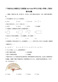 广东省汕头市潮阳区六校联盟2025-2026学年九年级上学期1月期末数学试题-自定义类型