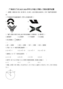 广东省江门市2025-2026学年九年级上学期1月期末数学试题-自定义类型