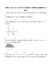 安徽省六安市2025-2026学年八年级数学上学期期末自编模拟卷（沪科版）-自定义类型