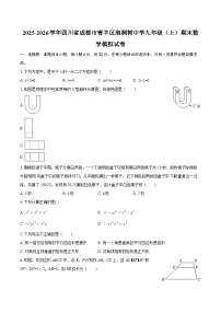 2025-2026学年四川省成都市青羊区泡桐树中学九年级（上）期末数学模拟试卷-自定义类型