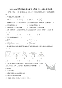 2025-2026学年上海市浦东新区七年级（上）期末数学试卷-自定义类型