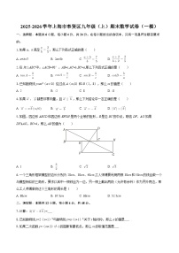2025-2026学年上海市奉贤区九年级（上）期末数学试卷（一模）-自定义类型