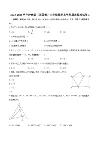 2025-2026学年沪教版（五四制）八年级数学上学期期末模拟试卷3-自定义类型