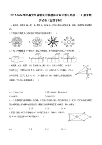 2025-2026学年黑龙江省绥化市绥棱林业局中学九年级（上）期末数学试卷（五四学制）-自定义类型