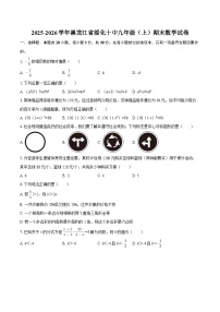 2025-2026学年黑龙江省绥化十中九年级（上）期末数学试卷-自定义类型