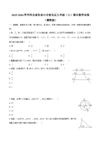 2025-2026学年河北省张家口市宣化区九年级（上）期末数学试卷（冀教版）-自定义类型