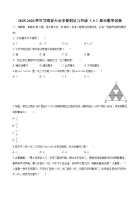 2025-2026学年甘肃省天水市麦积区九年级（上）期末数学试卷-自定义类型