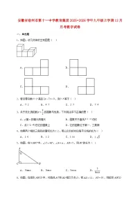 安徽省宿州市第十一中学教育集团2025~2026学年九年级上册12月月考数学试题【附解析】