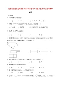 河北省保定市高碑店市2025~2026学年九年级上册12月月考数学试题【附解析】