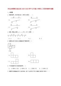 河北省邯郸市成安县2025~2026学年七年级上册12月联考数学试题【附解析】