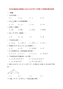 河北省秦皇岛市海港区2025~2026学年上册八年级期末数学试题【附解析】