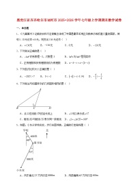 黑龙江省齐齐哈尔市讷河市2025~2026学年七年级上册期末数学试题【附解析】