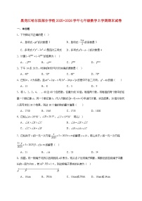 黑龙江哈尔滨部分学校2025~2026学年七年级数学上册期末试题【附解析】
