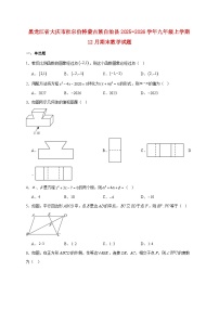 黑龙江省大庆市杜尔伯特蒙古族自治县2025~2026学年九年级上册12月期末数学试题【附解析】