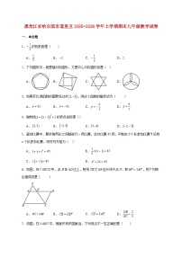 黑龙江省哈尔滨市道里区2025~2026学年上册期末九年级数学试题【附解析】