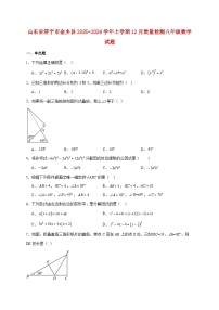 山东省济宁市金乡县2025~2026学年上册12月质量检测八年级数学试题【附解析】