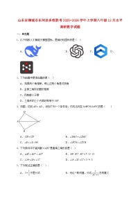 山东省聊城市东阿县多校联考2025~2026学年上册八年级12月水平调研数学试题【附解析】
