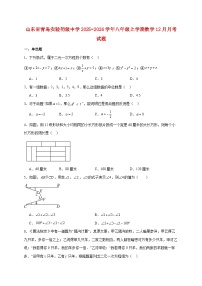 山东省青岛实验初级中学2025~2026学年八年级上册数学12月月考试题【附解析】