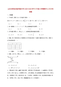山东省青岛实验初级中学2025~2026学年八年级上册数学12月月考试题【附解析】