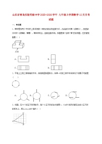 山东省青岛实验初级中学2025~2026学年九年级上册数学12月月考试题【附解析】