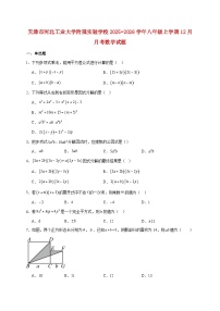 天津市河北工业大学附属实验学校2025~2026学年八年级上册12月月考数学试题【附解析】