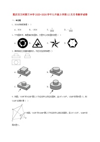 重庆市万州第三中学2025~2026学年九年级上册12月月考数学试题【附解析】