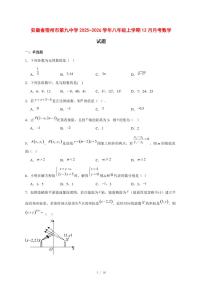 2025-2026学年安徽省宿州市第九中学八年级上学期12月月考数学试卷 [附答案]