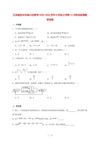 2025-2026学年江西省抚州市临川区联考七年级上学期12月阶段检测数学试卷 [附答案]