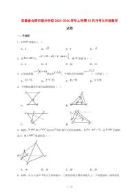 2025-2026学年安徽省合肥市部分学校上学期12月月考九年级数学试卷 [附答案]