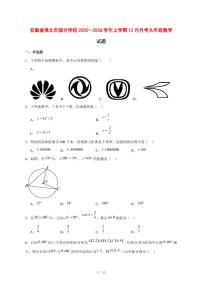 2025-2026学年安徽省淮北市部分学校上学期12月月考九年级数学试题 [附答案]