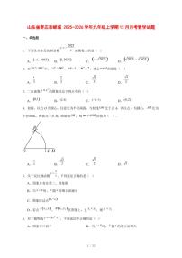2025-2026学年山东省枣庄市峄城九年级上学期12月月考数学试卷 [附答案]