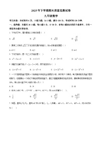 湖南省衡阳市常宁市2025-2026学年九年级上学期1月期末数学试题（原卷版+解析版）