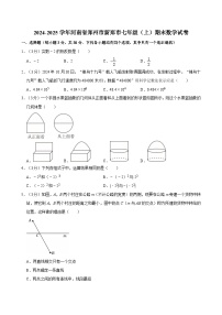 2024-2025学年河南省郑州市新郑市七年级（上）期末数学试卷含答案