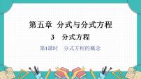 初中数学3 分式方程教课ppt课件