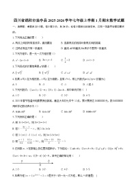 四川省绵阳市盐亭县2025-2026学年七年级上学期1月期末数学试题-自定义类型