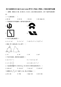 四川省绵阳市江油市2025-2026学年八年级上学期1月期末数学试题-自定义类型