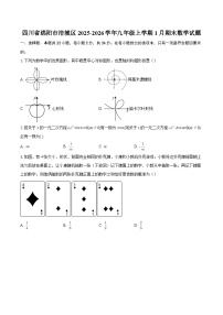 四川省绵阳市涪城区2025-2026学年九年级上学期1月期末数学试题-自定义类型