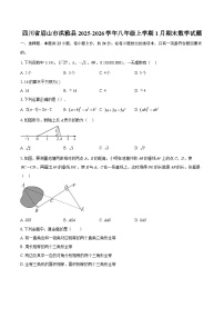 四川省眉山市洪雅县2025-2026学年八年级上学期1月期末数学试题-自定义类型