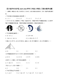 四川省泸州市泸县2025-2026学年八年级上学期1月期末数学试题-自定义类型