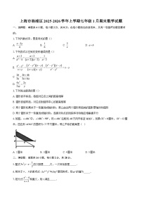 上海市杨浦区2025-2026学年上学期七年级1月期末数学试题-自定义类型
