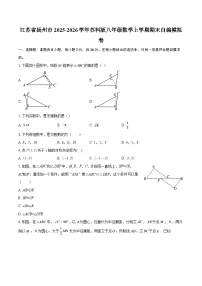 江苏省扬州市2025-2026学年苏科版八年级数学上学期期末自编模拟卷-自定义类型