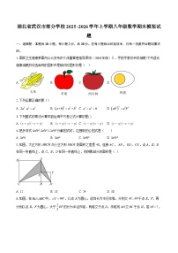 湖北省武汉市部分学校2025~2026学年上学期八年级数学期末模拟试题-自定义类型