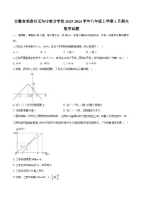 安徽省芜湖市无为市部分学校2025-2026学年八年级上学期1月期末数学试题-自定义类型
